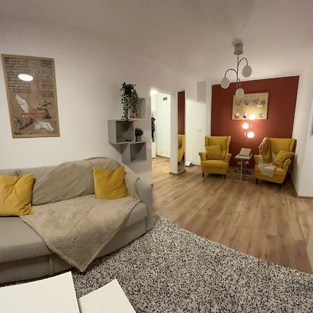 Meba Apartments 布拉索夫 外观 照片